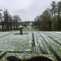 Снег :: Сапсан 