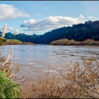 Русская река :: **** vedin