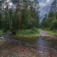 Разлив :: Vladimbormotov 