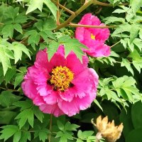 ,,, :: Сергей Тимоновский