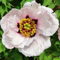 ,,, :: Сергей Тимоновский