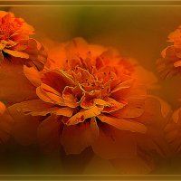 О лете :: Владимир Кроливец О лете :: Владимир Кроливец