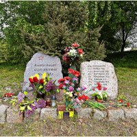 9 мая 2025г. :: Валерия Комова 9 мая 2025г. :: Валерия Комова