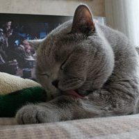 Вечерний моцион :: Лютый Дровосек