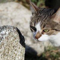 Шкода :: ii_ik Иванов