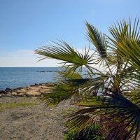 *** :: Oleg4618 Шутченко