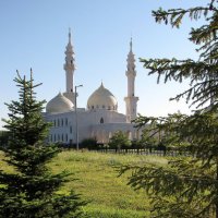 Белая мечеть :: Александр Ильчевский 