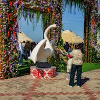 Взлетаем :: Анатолий Чикчирный Взлетаем :: Анатолий Чикчирный