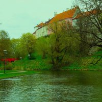 Пруд Шнелли в начале мая 2025 :: Aida10 