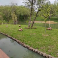 Бегут кубические зайки.. :: Игорь Ч.