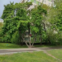 Воскресное утро :: Игорь Ч.