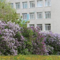 Мой город. :: Венера Чуйкова Мой город. :: Венера Чуйкова