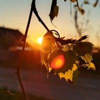 майский закат :: светлана льдокова