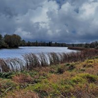 Ветер. :: Тамара Бучарская