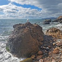 Дикий берег :: ИРЭН@ .