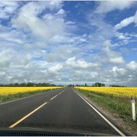 Солнечный майский денёк. :: Валерия Комова