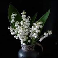 *** :: Валентина Береснева