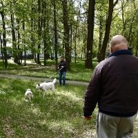 *** :: Валентина Береснева