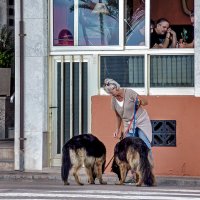 Помогите накормить собак! :: Alexandеr P