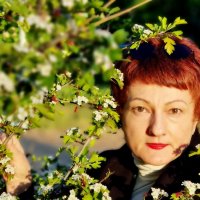 Портрет :: Лана 
