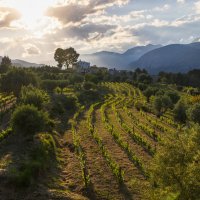 Вечерний пейзаж :: Алекс Римский
