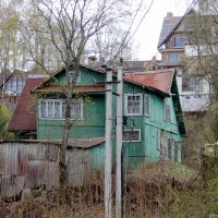 Май. Зеленеет всё кругом) :: Елена Минина Май. Зеленеет всё кругом) :: Елена Минина