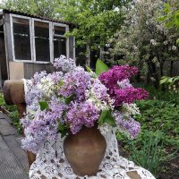 Май. :: Венера Чуйкова