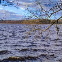 Холодный день в апреле. :: Александр Сапунов