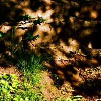 Весенние зарисовки 134 :: Алексей Кузнецов