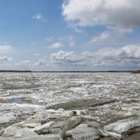 Весенний Амур. :: Виктор Иванович Чернюк