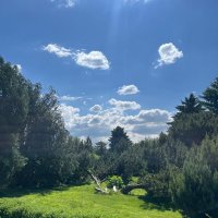 Майский парк :: Георгиевич 