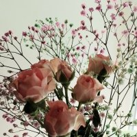 *** :: Валентина Береснева