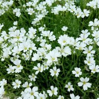 Пятигорск. Весна :: Екатерина Филипенко