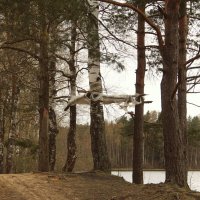 Навес истерзанный ветрами :: Елена Минина