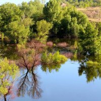 Разливъ :: Олегъ Петрович