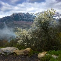 Горное :: Валерий Т