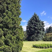 Майский день :: Георгиевич 