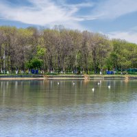 Городское водохранилище :: Игорь Сикорский