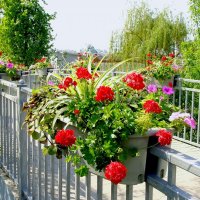 * * * :: Фёдор Меркурьев * * * :: Фёдор Меркурьев