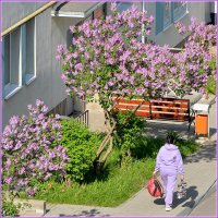 В гармонии с природой :: Сеня Белгородский