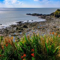 Отлив на скальном Атлантическом берегу :: Георгий А