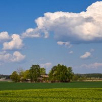 Самое время гулять и радоваться жизни! :: Alexandеr P