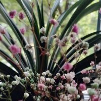 *** :: Валентина Береснева *** :: Валентина Береснева