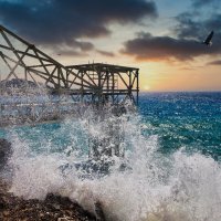 у воды и над водой :: Vasiliy V. Rechevskiy