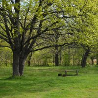 В парке :: Андрей Зайцев В парке :: Андрей Зайцев