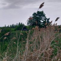 Talgar. :: Murat Bukaev 