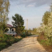 Деревенская весна :: ZNatasha - Деревенская весна :: ZNatasha -