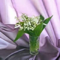 Мая привет :: Галина Шеина-Мюльдорфер