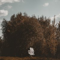 Призрак :: Ярослав Теплов