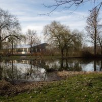 Мартовский пруд... :: Николай Гирш